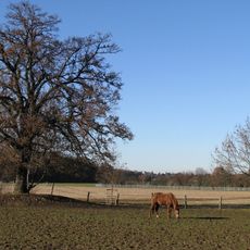 Gebiet um das Kloster Warnberg mit anschließenden Waldstücken in Richtung Forstenried und Solln