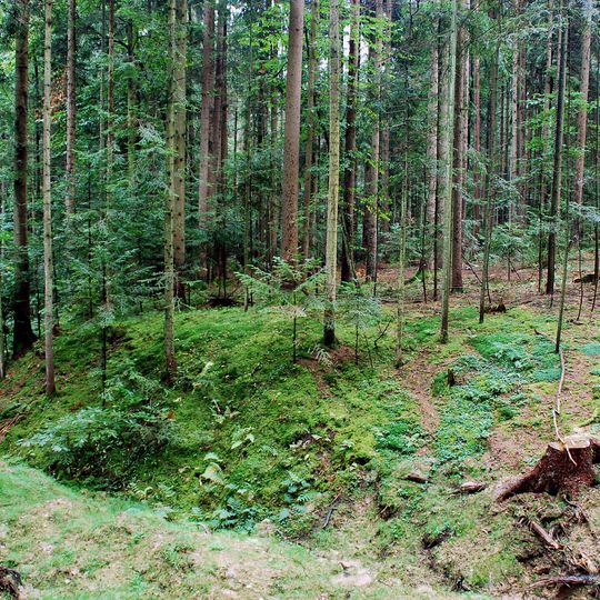 Mittelalterliche Wehranlage Burg Lemsitz