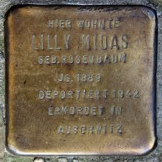 Lilly Midas