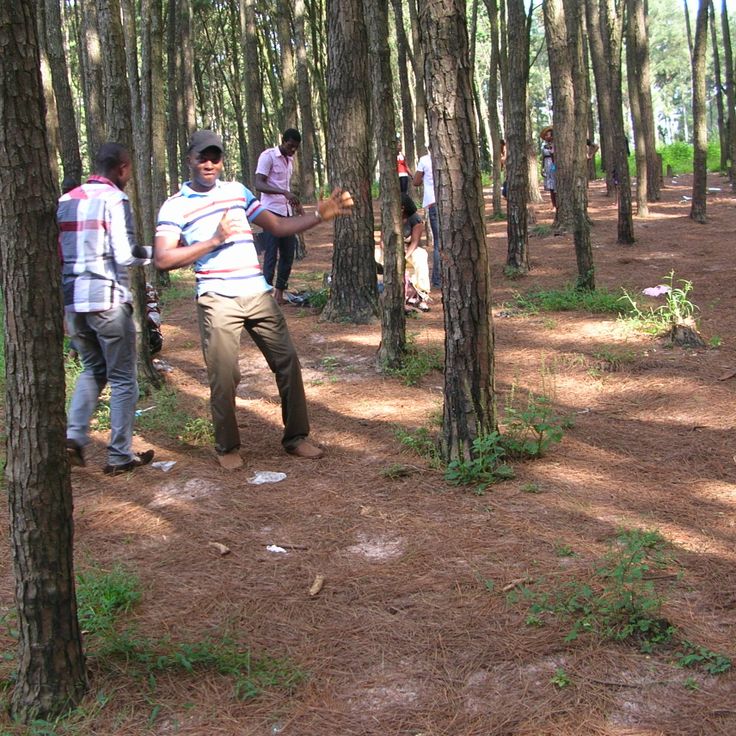 Ngwo Pine Forest