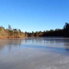 Pickerel Pond