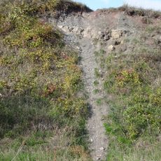 Acrodus-Corbula-Zone SE von Nenzenheim