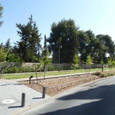Train Track Park
