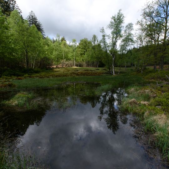 Rotes Wasser von Olfen