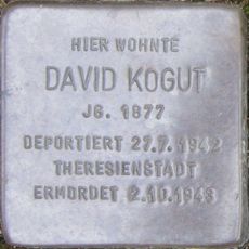 David Kogut