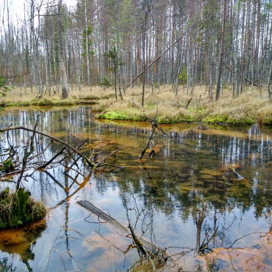Kroshnozersky Spring