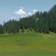 Soilasee