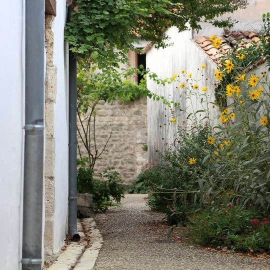 Le Petit Dauphin