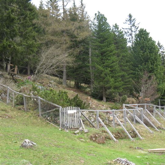 Alpenpflanzengarten Vorderkaiserfelden