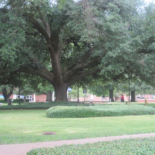 Arboreto de la Universidad Tecnológica de Luisiana