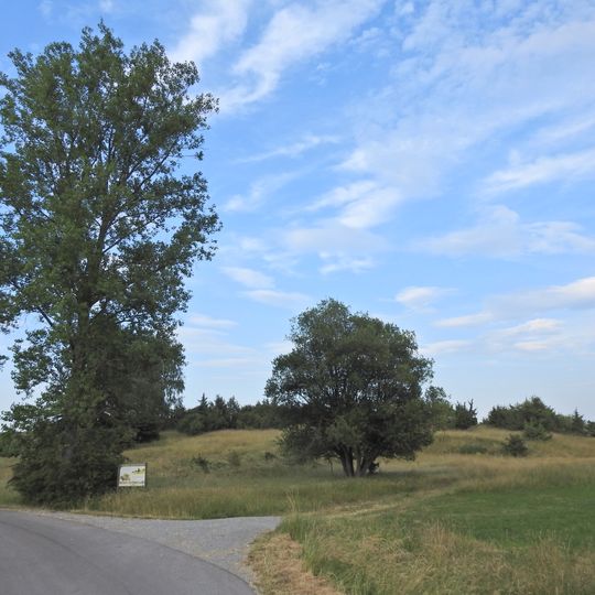 Wacholderheide an der Straße Honhardt-Jagstheim