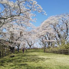 岩切城跡