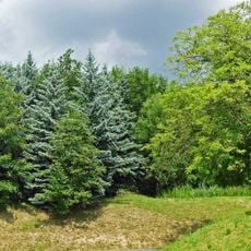 Volkspark Rotkopf-Görg Rotkopf-Görg-Straße
