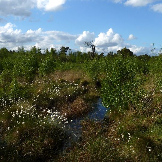 Oldhorster Moor