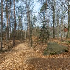 Glacial erratic rock near Hospitalhütte Dahlen
