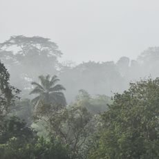 Ziama Strict Nature Reserve