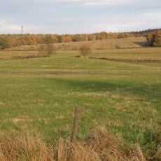 Niederpleiser Niederungsmotte