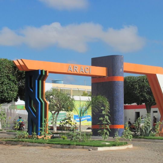 Araci