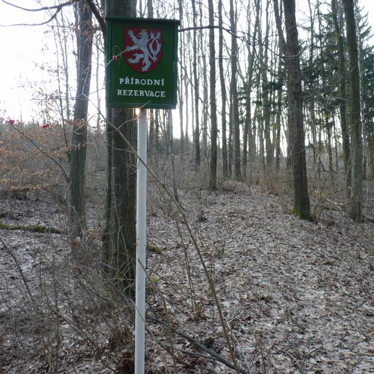 Ve slatinské stráni