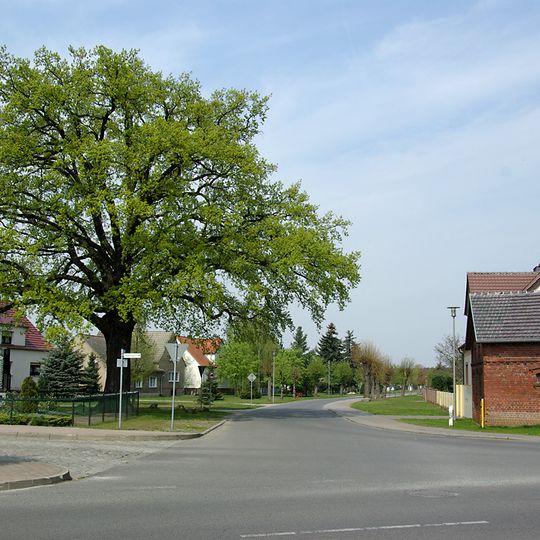 Naturdenkmal Stieleiche Dorfanger in Guhrow