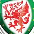 Wales national association football team