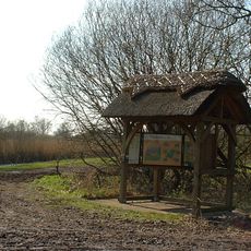 Woodwalton Fen