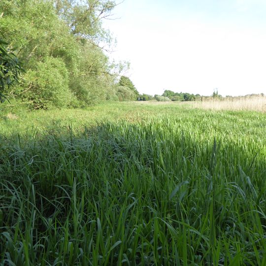 Norah Hanbury-Kelk Meadows