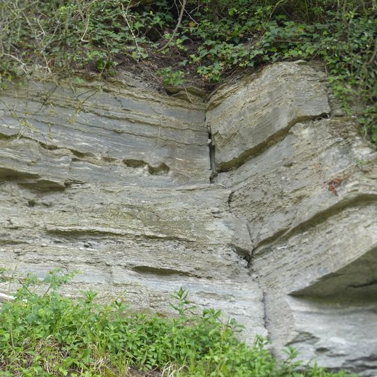 1 Erdgeschuchtlicher Aufschluss im Mittleren Gipskeuper "Buckenhalde"