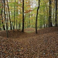 Tumuli "Groessinger Tanner"