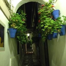 Calleja de las Flores