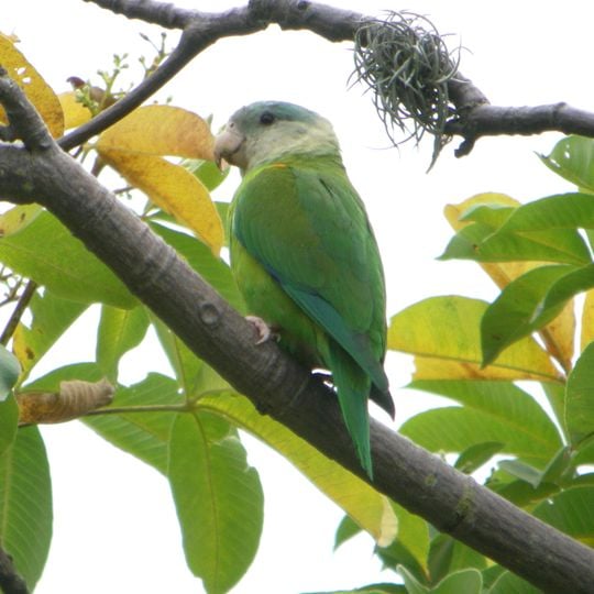 Reserva Ecológica Arenillas