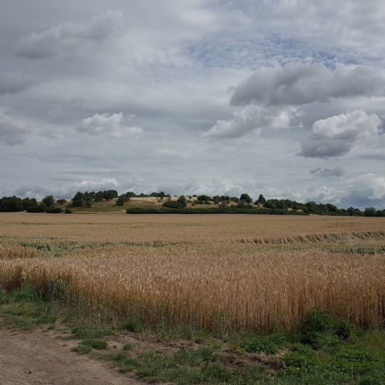 Porphyrkuppen Burgstetten bei Niemberg
