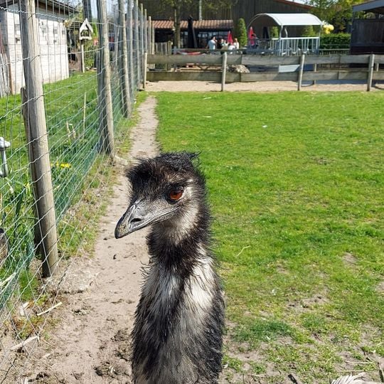 Kinderboerderij Den Ast
