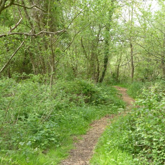 North Cove Nature Reserve