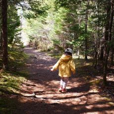 MacElmons Pond Provincial Park