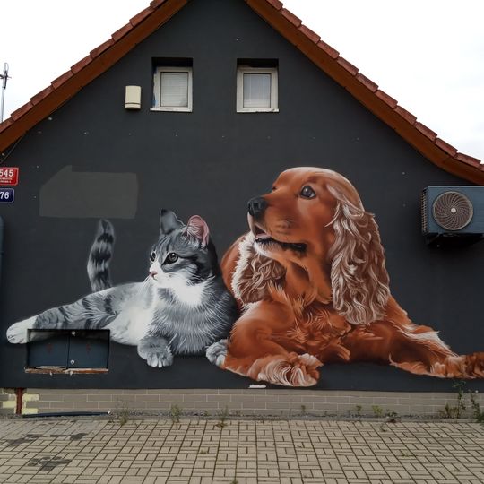 Eye-catcher for pet supplies shop