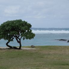 La Cambuse Public Beach