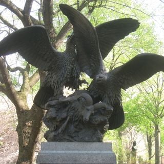 Adler und ihre Beute