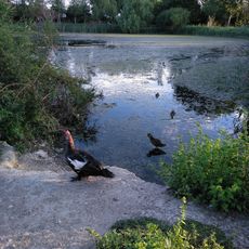 Centro de interpretación Marjal de Gandia