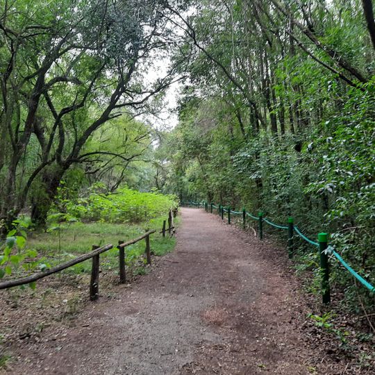 Ciervo de los Pantanos National Park