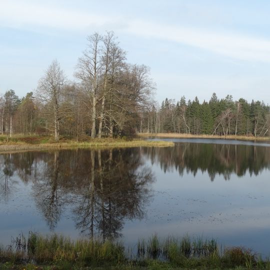 Pašvenčio tvenkinys