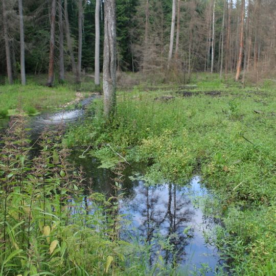 Rezerwat przyrody Góra Pieszczana