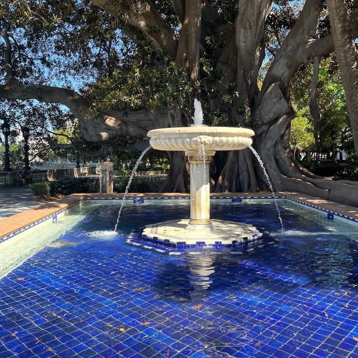 Fuente