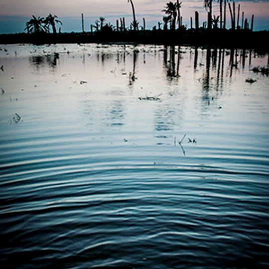 Fondet de la Senieta