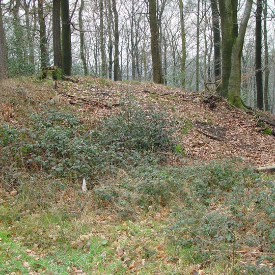 Ringwallanlage Burggraben