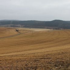 Freiflächen westlich Udorf