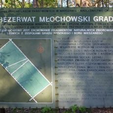 Rezerwat przyrody Młochowski Grąd