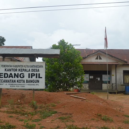 Kedang Ipil