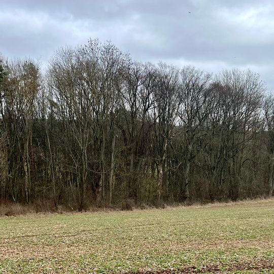 Über dem Rabenbrunnen