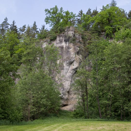 Schmelcherfels SW von Steinamwasser